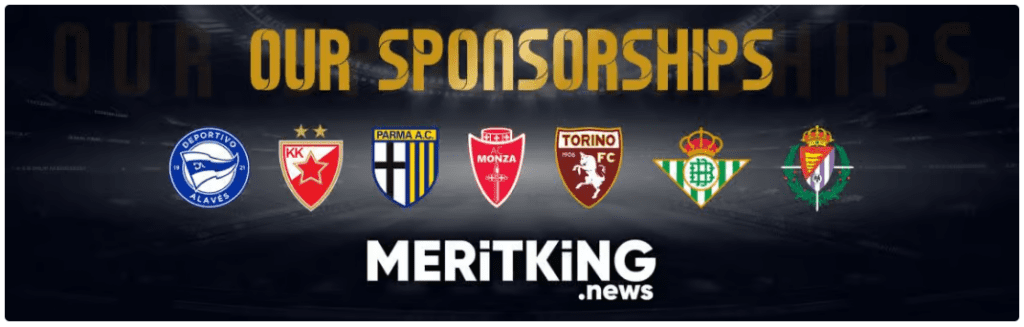 Meritking Partners