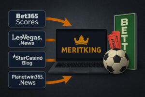 Origins of the MeritKing and Meritking.news Model